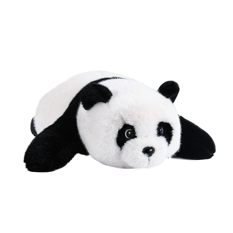 AI 熊猫小迪产品图